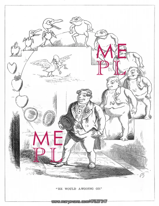 : Origin Species, CH Bennett, Courting man - frog : Origin Species, CH Bennett, Courting man - frog