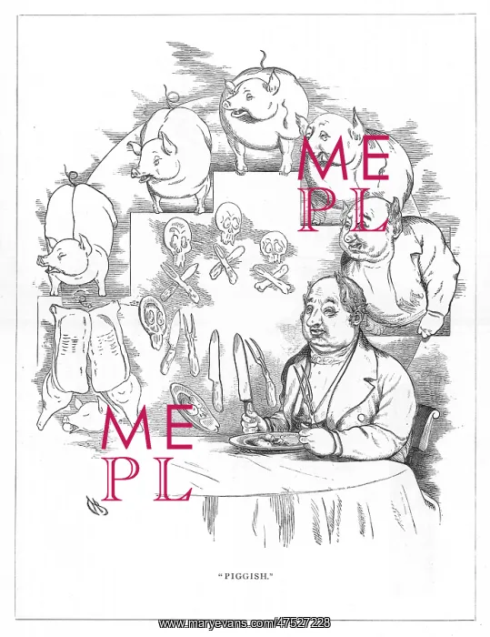 : Origin Species, CH Bennett, Fat man - pig : Origin Species, CH Bennett, Fat man - pig