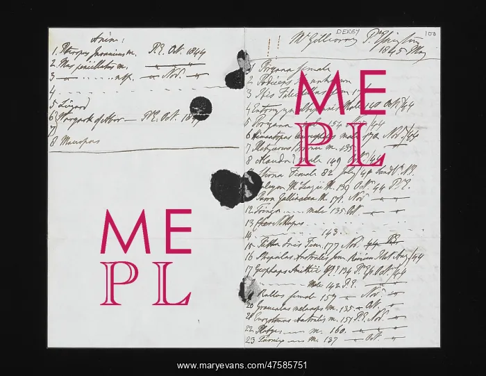 : Original manuscript by the 13th Earl of Derby : Original manuscript by the 13th Earl of Derby