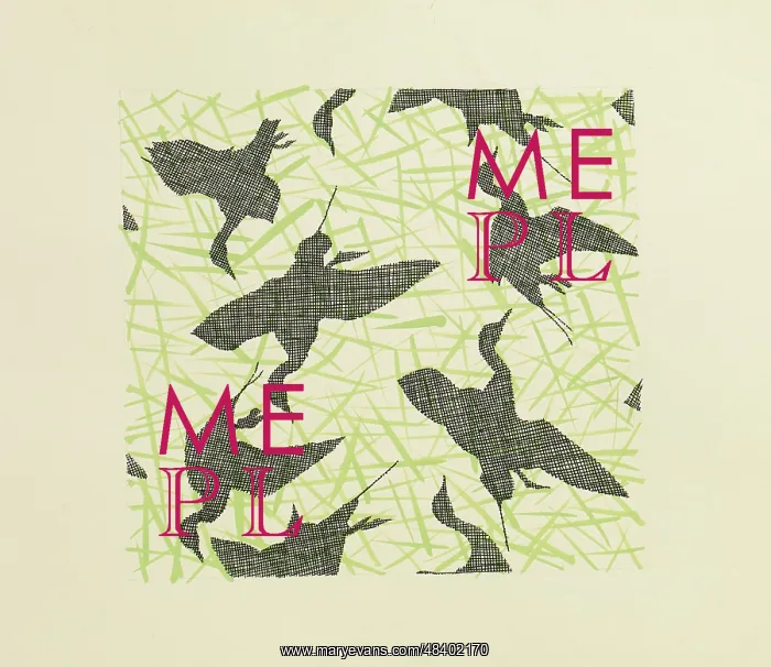 : Original Textile design by Tanya Atkinson - birds : Original Textile design by Tanya Atkinson - birds