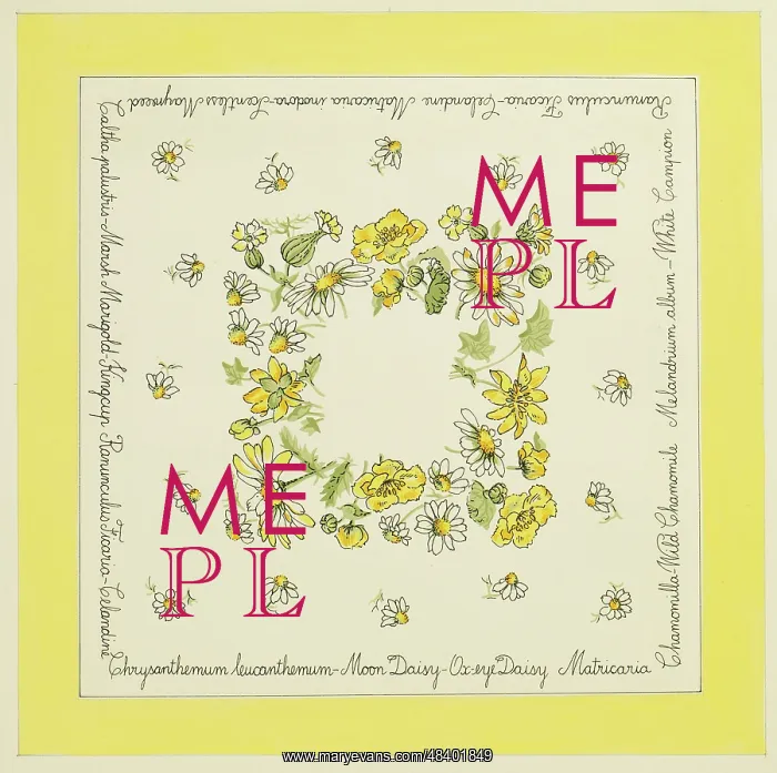 : Original Textile design by Tanya Atkinson - flowers : Original Textile design by Tanya Atkinson - flowers