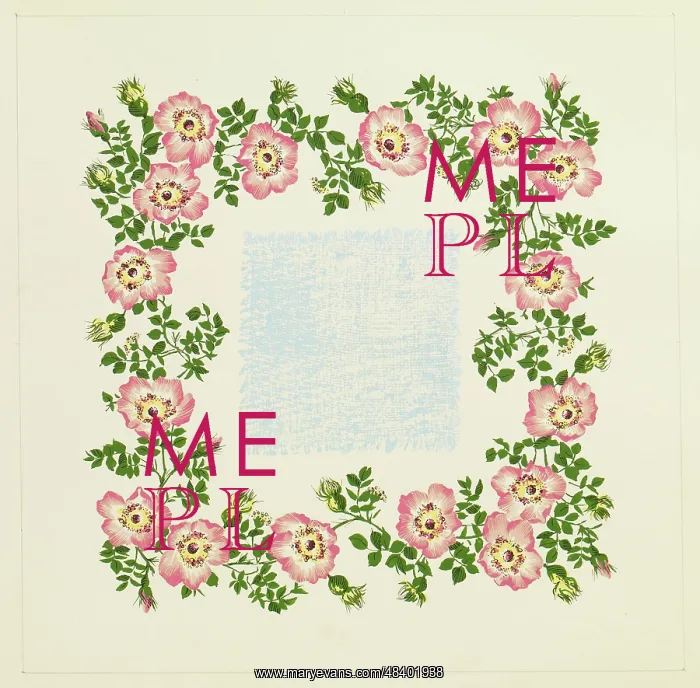 : Original Textile design by Tanya Atkinson - flowers : Original Textile design by Tanya Atkinson - flowers