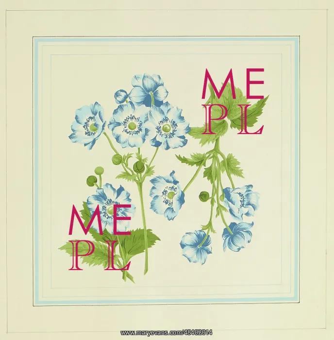 : Original Textile design by Tanya Atkinson - flowers : Original Textile design by Tanya Atkinson - flowers
