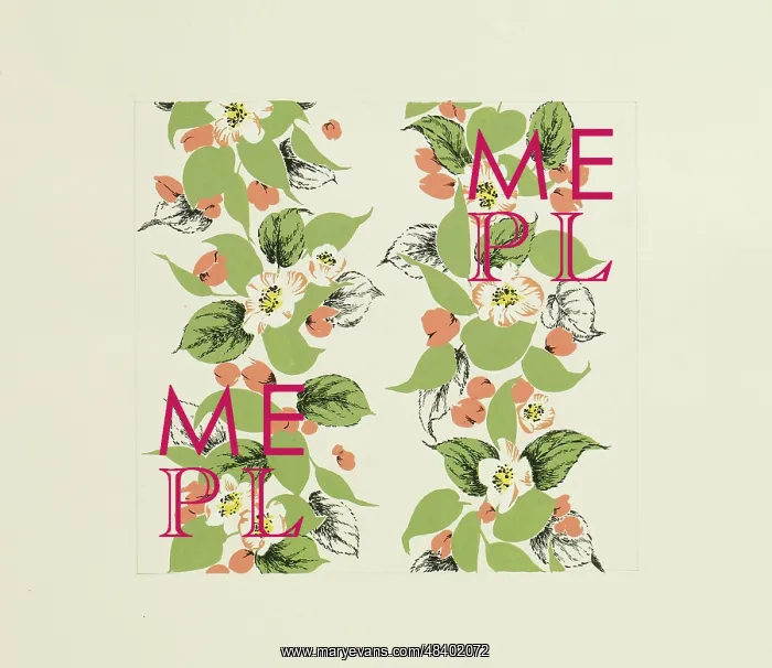 : Original Textile design by Tanya Atkinson - flowers : Original Textile design by Tanya Atkinson - flowers