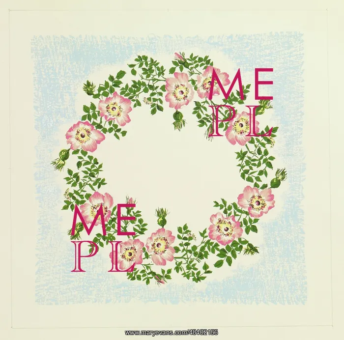 : Original Textile design by Tanya Atkinson - flowers : Original Textile design by Tanya Atkinson - flowers