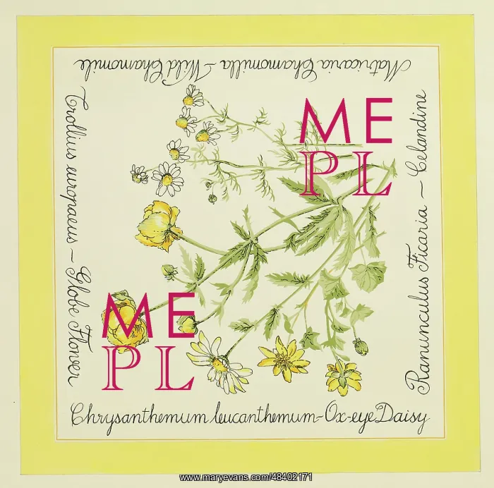 : Original Textile design by Tanya Atkinson - flowers : Original Textile design by Tanya Atkinson - flowers