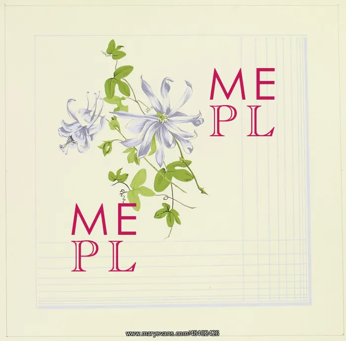 : Original Textile design by Tanya Atkinson - flowers : Original Textile design by Tanya Atkinson - flowers