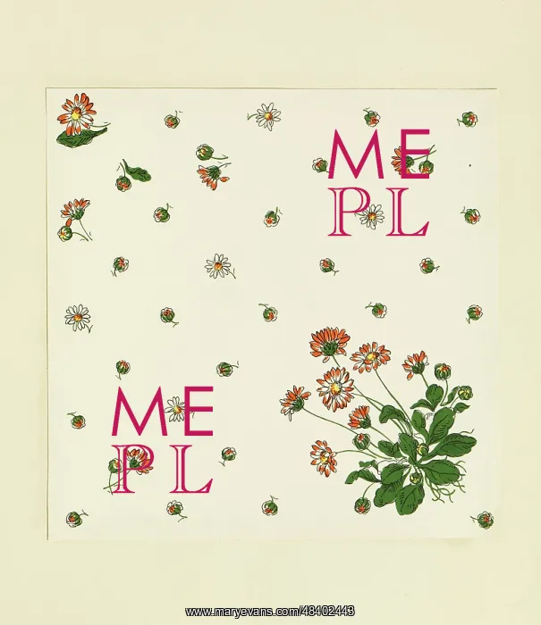 : Original Textile design by Tanya Atkinson - flowers : Original Textile design by Tanya Atkinson - flowers
