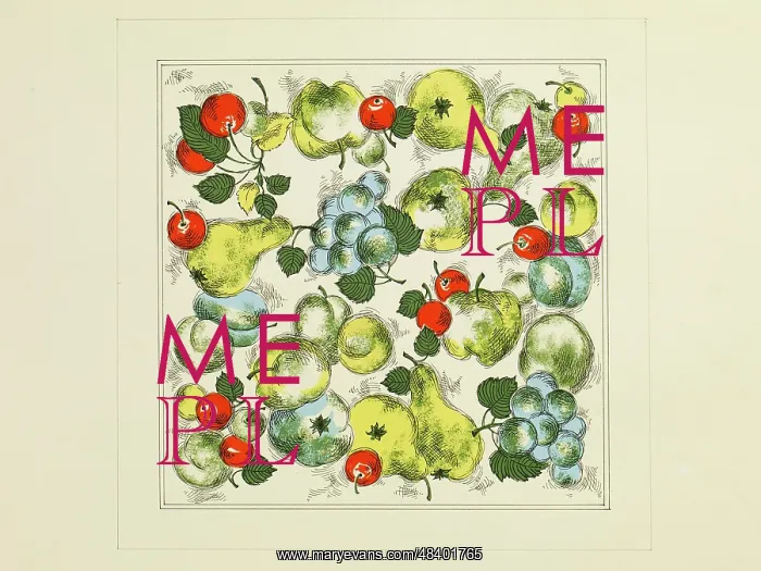 : Original Textile design by Tanya Atkinson - fruit : Original Textile design by Tanya Atkinson - fruit