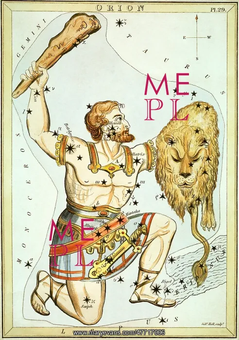 : Orion Hitting a Lion : Orion Hitting a Lion
