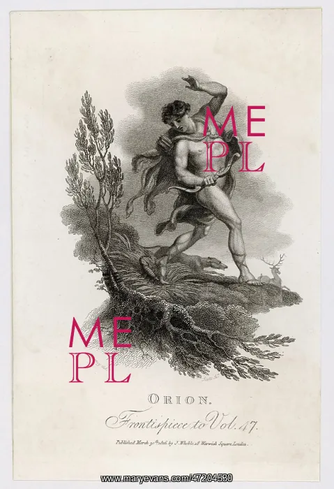 : Orion Killed by Scorpion : Orion Killed by Scorpion