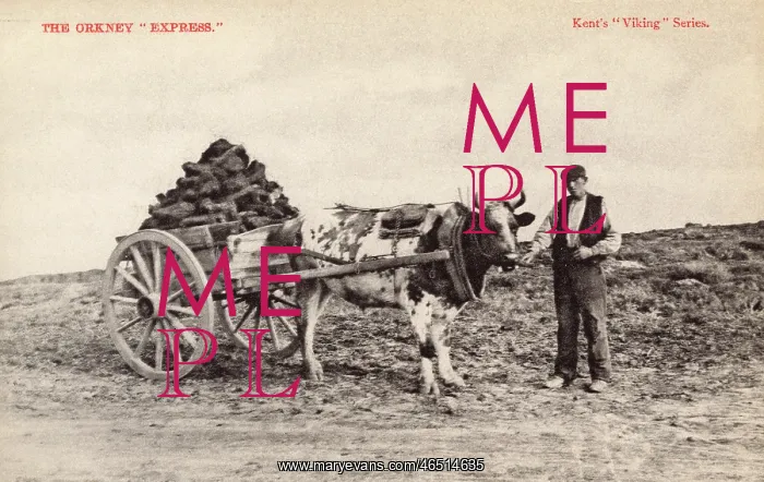 : The Orkney Express : The Orkney Express