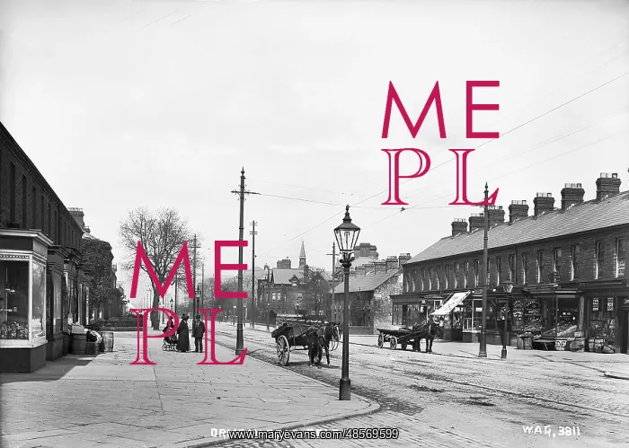 : Ormeau Road, Belfast : Ormeau Road, Belfast