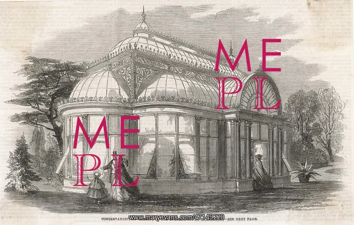 : Ormson's conservatory : Ormson's conservatory