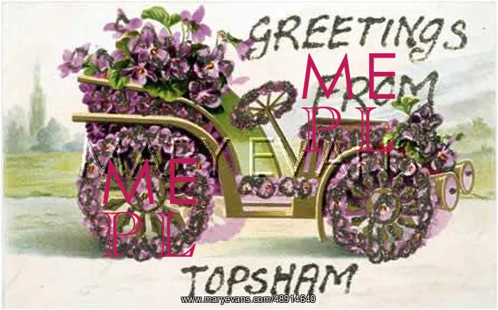  : ORNAMENTAL CAR