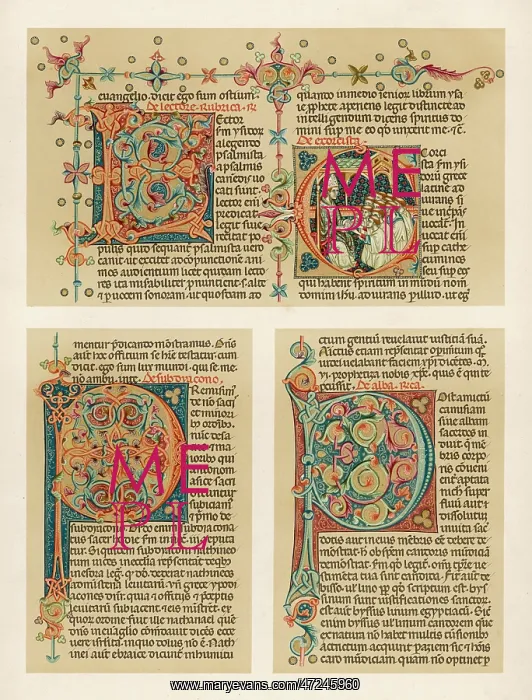 : ORNAMENTAL INITIALS : ORNAMENTAL INITIALS