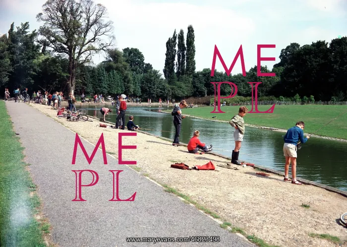 : The Ornamental Pond, Stevenage : The Ornamental Pond, Stevenage