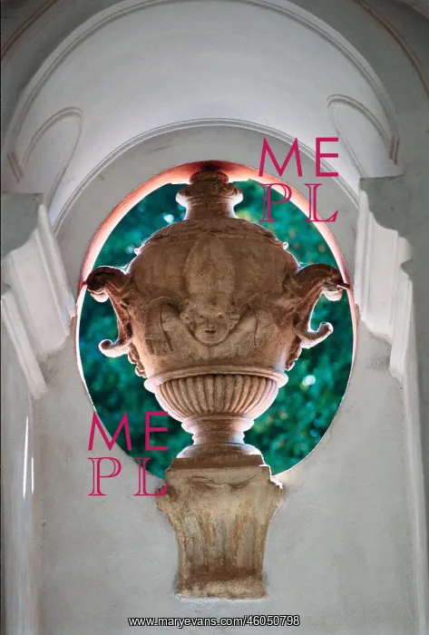 : Ornamental vase : Ornamental vase
