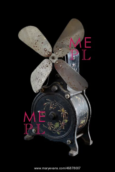 : Ornate fan : Ornate fan