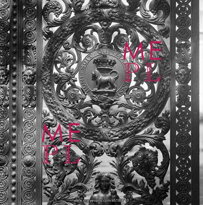 : Ornate gate : Ornate gate