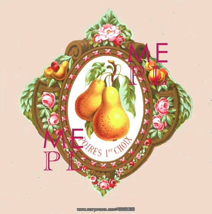 : Ornate label design for pears : Ornate label design for pears