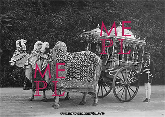 : ORNATE OX-CART, INDIA : ORNATE OX-CART, INDIA