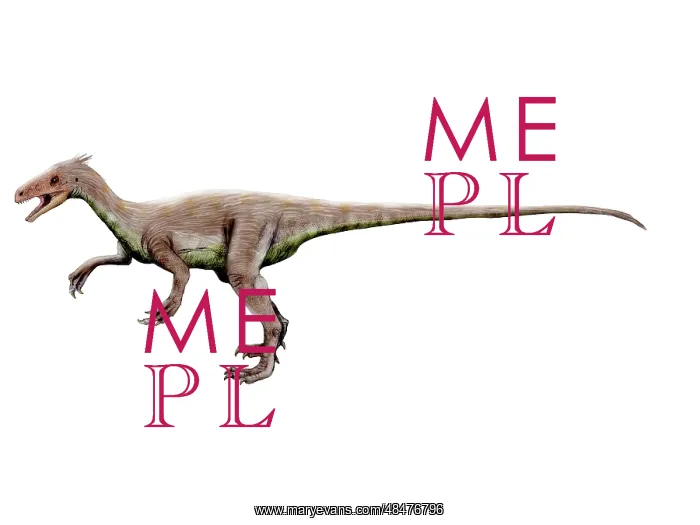 : Ornitholestes dinosaur : Ornitholestes dinosaur