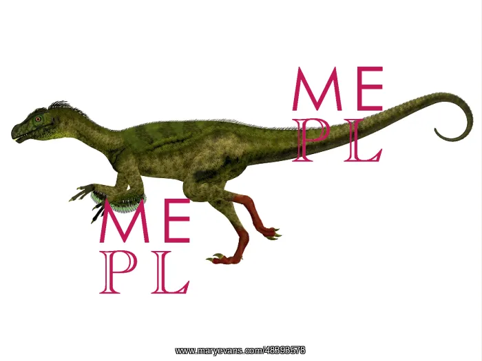 : Ornitholestes dinosaur, side view : Ornitholestes dinosaur, side view