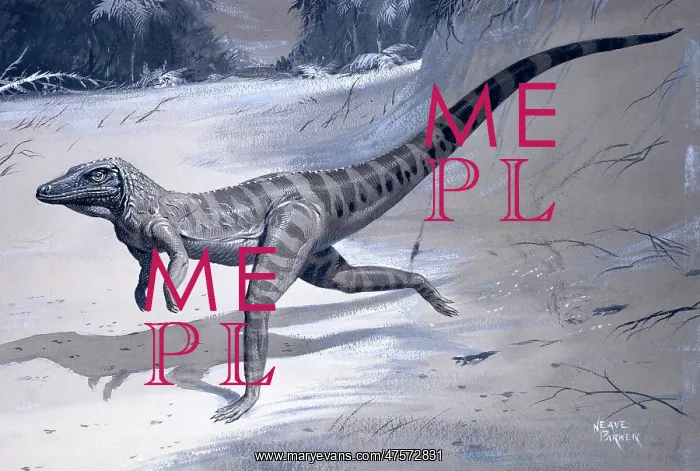 : Ornithosuchus : Ornithosuchus