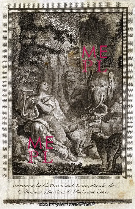 : ORPHEUS AND THE BEASTS : ORPHEUS AND THE BEASTS