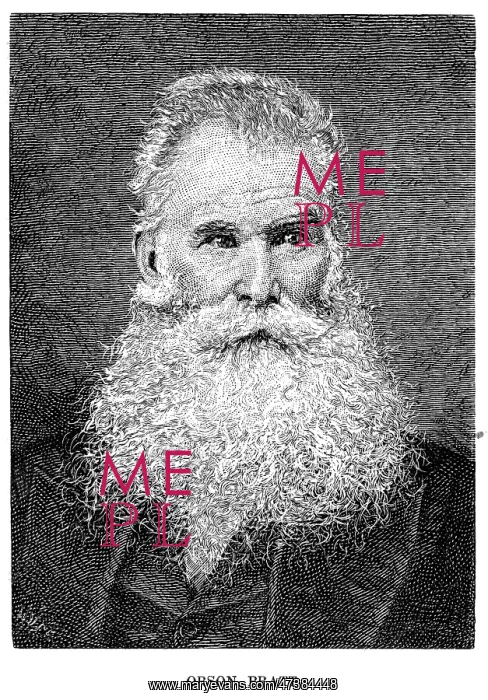  : ORSON PRATT