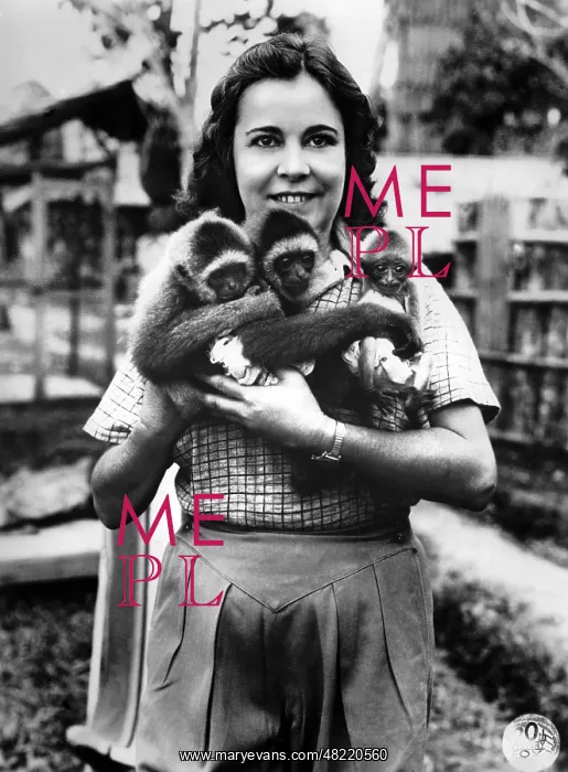 : Osa Johnson with monkeys, 1937 : Osa Johnson with monkeys, 1937