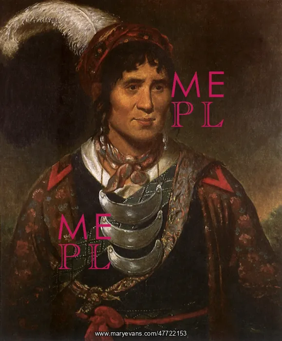  : Osceola, a Seminole Leader