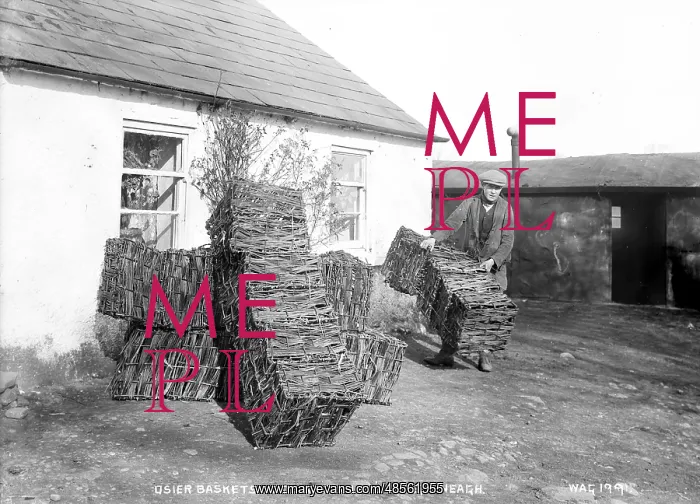 : Osier Baskets Made at Gawley's Gate, Loch Neagh : Osier Baskets Made at Gawley's Gate, Loch Neagh