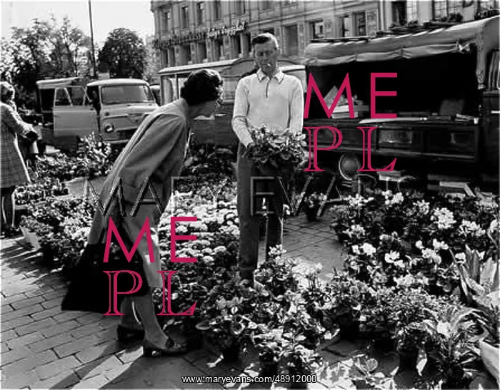 : OSLO FLOWER STALL : OSLO FLOWER STALL