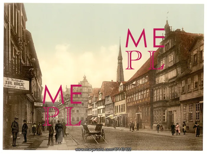 : Osterstrasse, Hameln, Hanover, Germany : Osterstrasse, Hameln, Hanover, Germany