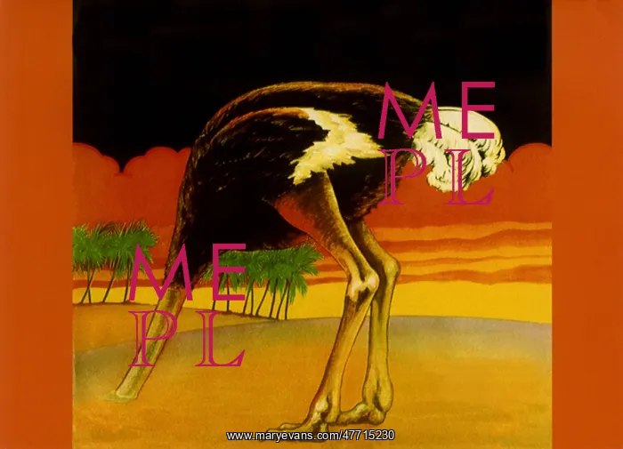  : Ostrich, Head Planted