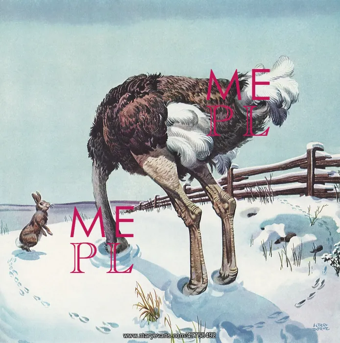  : Ostrich with Head in Snow