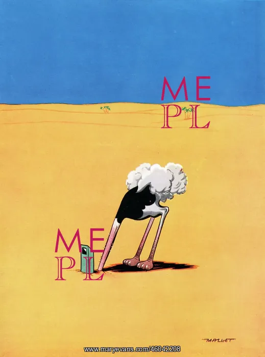 : Ostrich by Mallett : Ostrich by Mallett