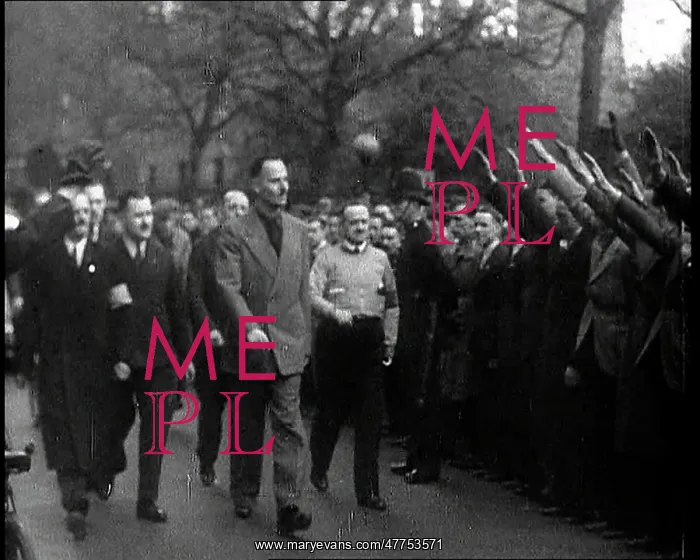: Oswald Mosley Being Saluted by his Followers : Oswald Mosley Being Saluted by his Followers