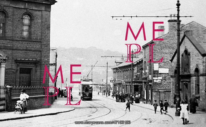  : Otley Road, Shipley early 1900's