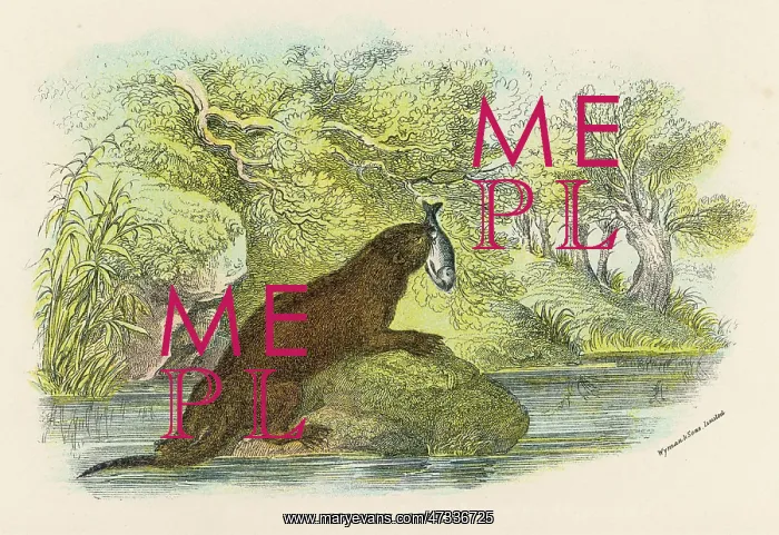  : OTTER & FISH C1840