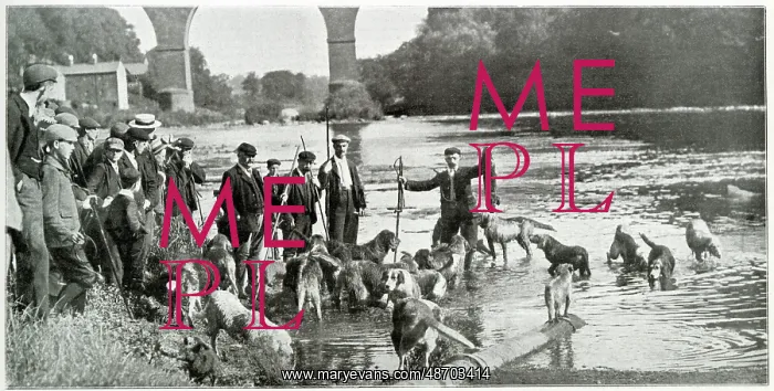 : Otter Hunt 1901 : Otter Hunt 1901
