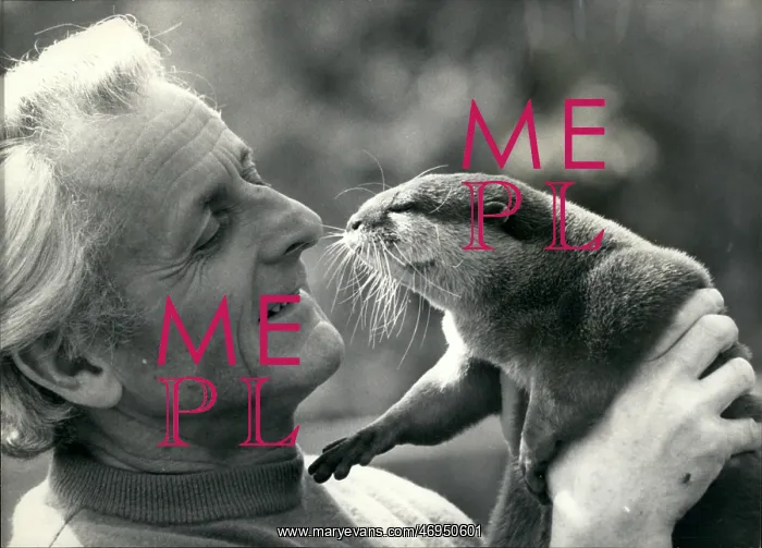 : Will The Otter Be Saved From Extinction? : Will The Otter Be Saved From Extinction?