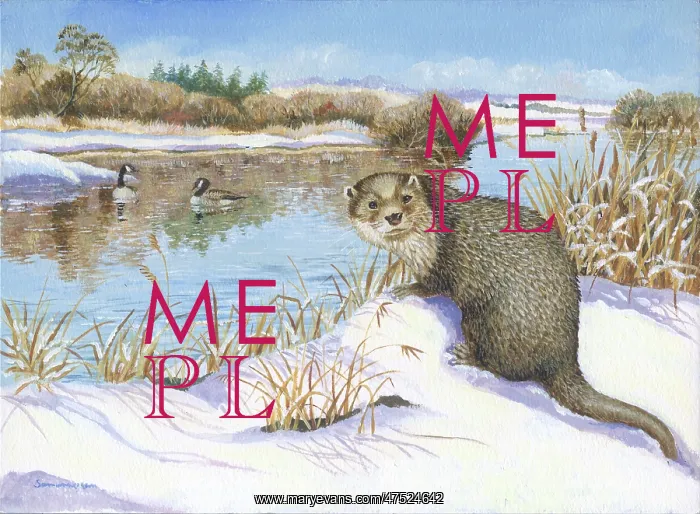  : Otter on snowy River Bank