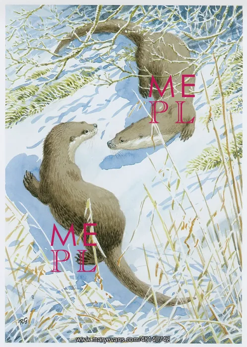  : Otters