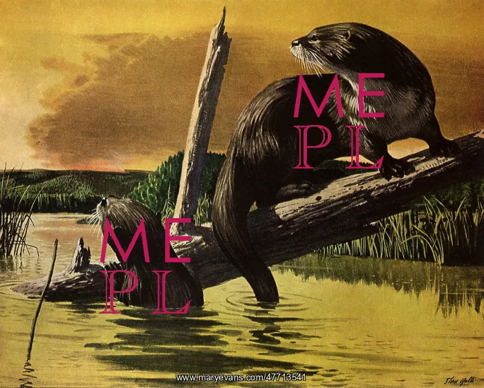  : Otters Fear Forest Fire