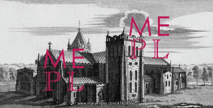 : OTTERY SAINT MARY : OTTERY SAINT MARY