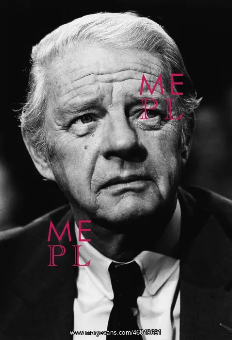 : Otto Amerongen : Otto Amerongen