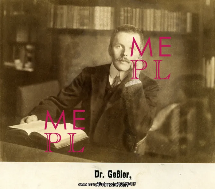 : Otto Gessler : Otto Gessler
